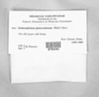 Image Associated With the Occurence